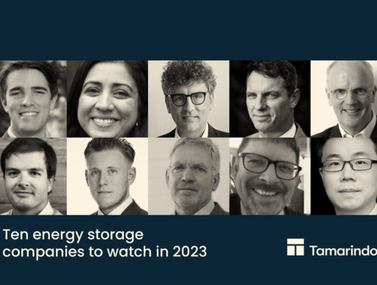 Top Energy Storage Companies to Watch in 2023